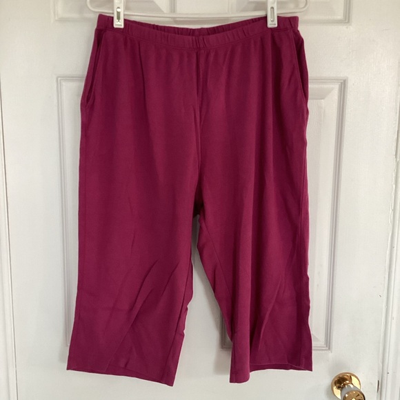 ☀️3/$25☀️ NWOT! LANDS END capri pants #N217 - Picture 2 of 5